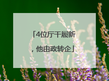 4位厅干履新，他由政转企