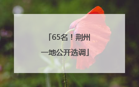 65名！荆州一地公开选调