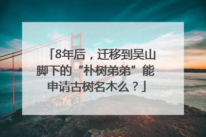 8年后，迁移到吴山脚下的“朴树弟弟”能申请古树名木么？