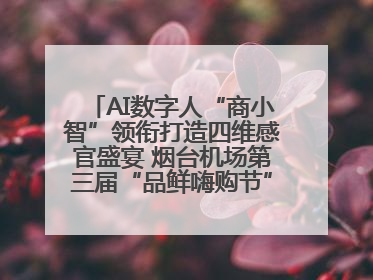 AI数字人“商小智”领衔打造四维感官盛宴 烟台机场第三届“品鲜嗨购节”智趣启航