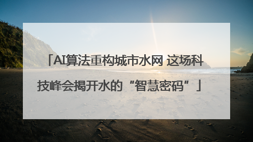 AI算法重构城市水网 这场科技峰会揭开水的“智慧密码”