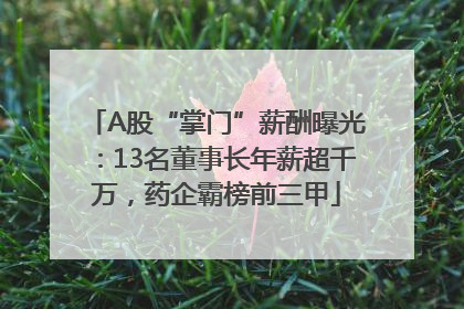 A股“掌门”薪酬曝光：13名董事长年薪超千万，药企霸榜前三甲