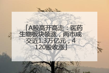 A股高开高走：医药生物板块领涨，两市成交近1.3万亿元，4120股收涨