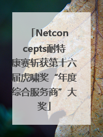 Netconcepts耐特康赛斩获第十六届虎啸奖“年度综合服务商”大奖