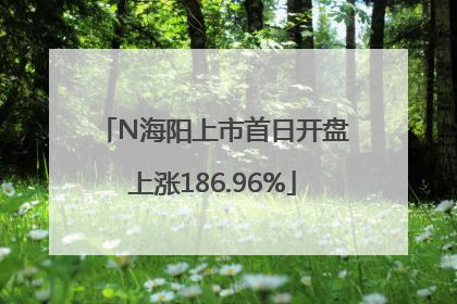 N海阳上市首日开盘上涨186.96%